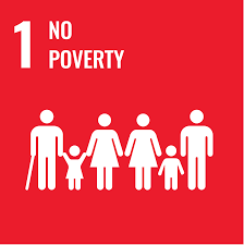 Sustainable Development Goal 1: No Poverty